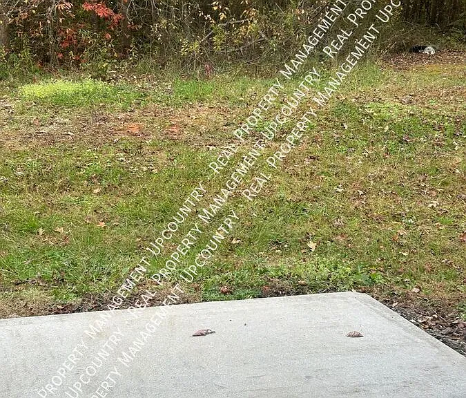 229 Lions Park Rd — Photo 15
