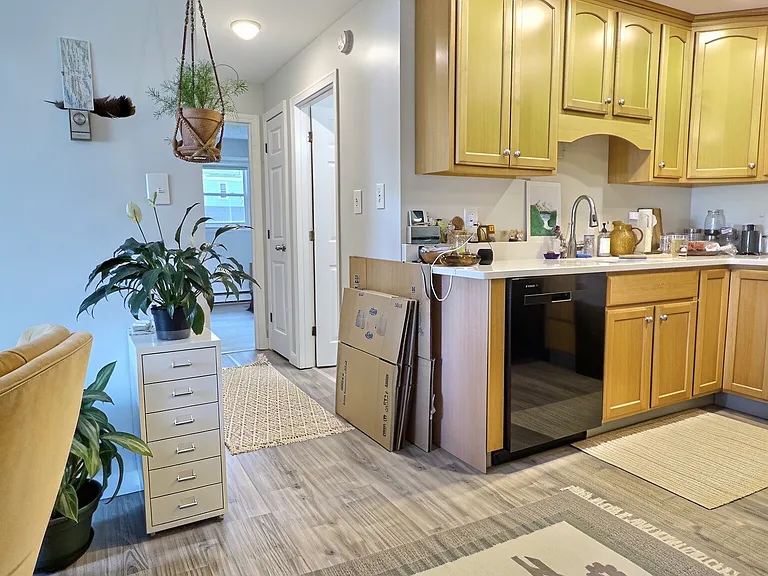 86 Spring St #101 — Photo 7