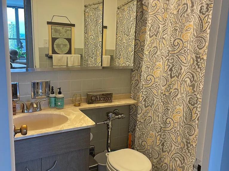 3550 N Lake Shore Dr #2124 — Photo 9