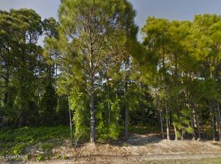 1559 Sarnia St NW, Palm Bay, FL 32907