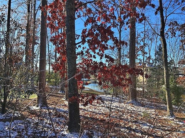 2nd image of 8401 Skye Lochs Dr #163