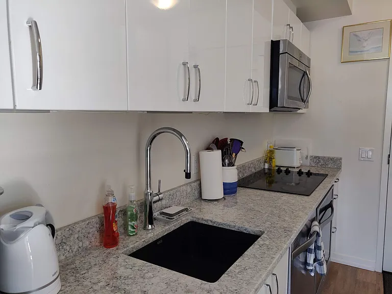 450 8th Ave SE #1001 — Photo 6
