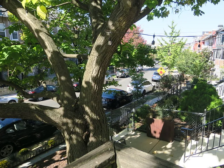 3545 10th St NW #3 — Photo 31