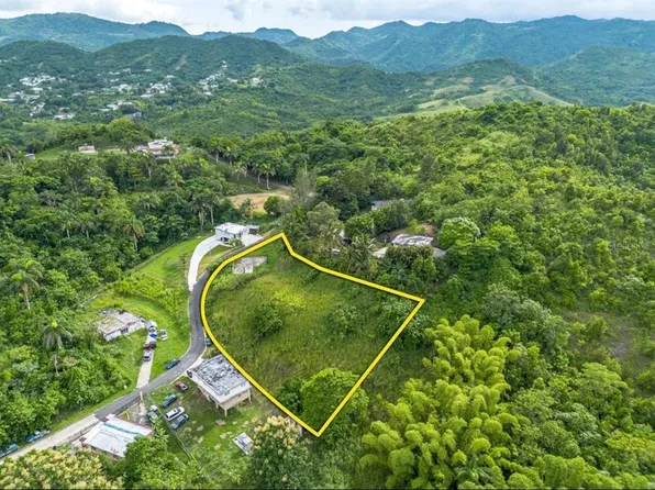 Calle 14 Km #68.5, Cayey, PR 00736