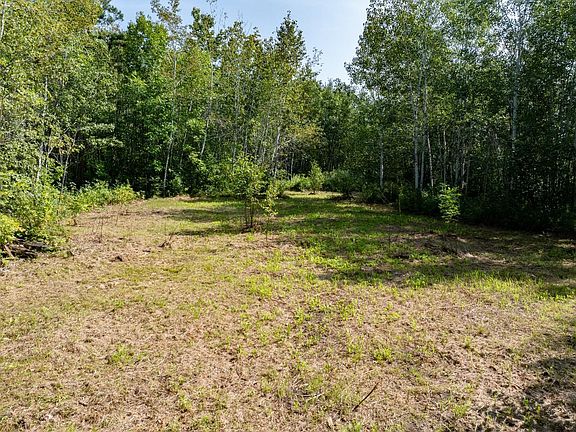5th image of 12084 County Road 144