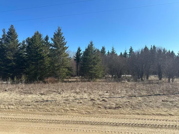 Tbd County Road 31, Northome, MN 56661