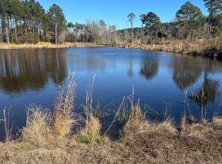 0 Marchants Dairy Rd, Rhine, GA 31077