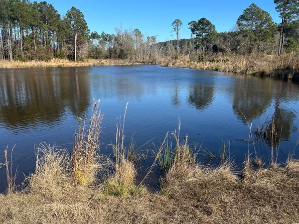 0 Marchants Dairy Rd, Rhine, GA 31077