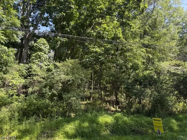 22 Bills Ln, Montague Twp., NJ 07827