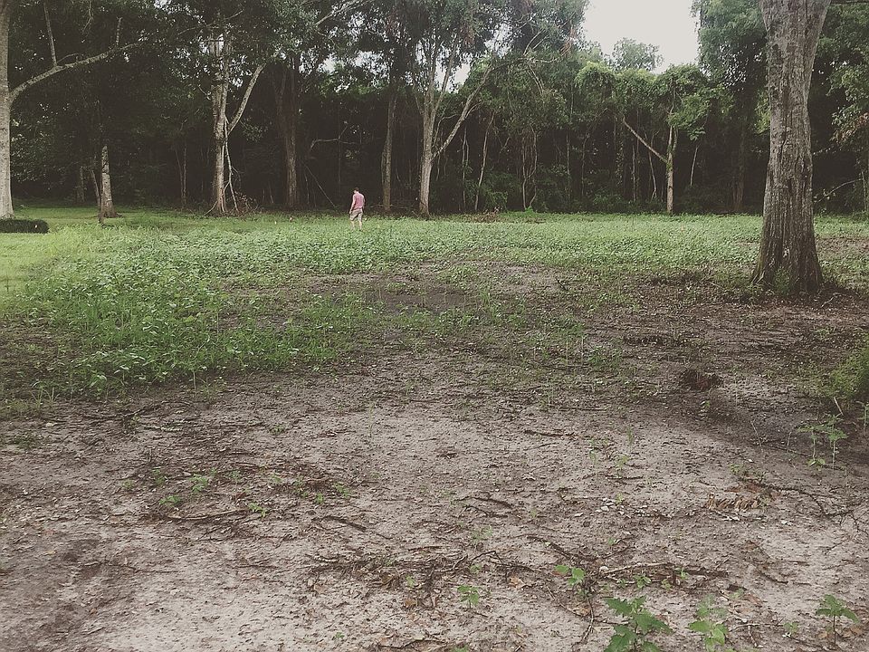 Cleared lot & mature trees