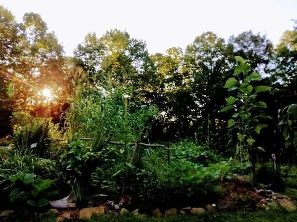 1289 Township Road 320, Waterloo, OH 45688