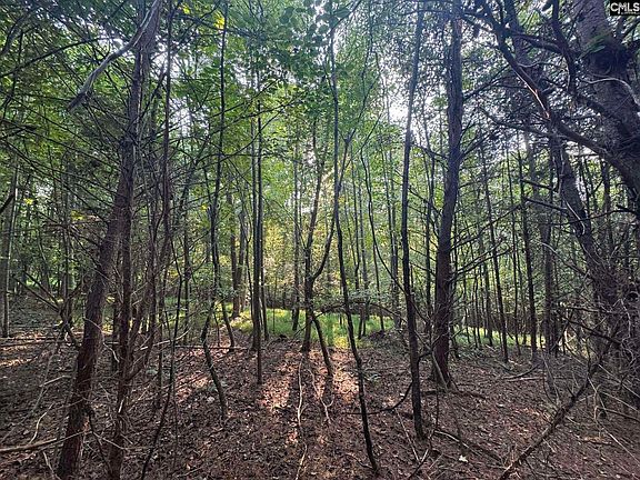 3rd image of Shaw Rd