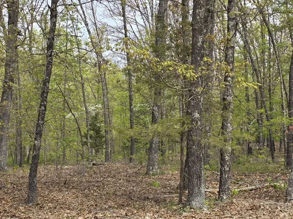 Tract K Greatview Lane, Lebanon, MO 65536