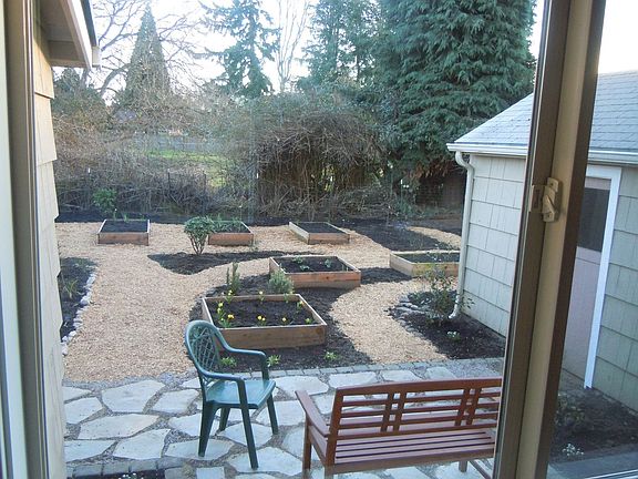 Looking out the back yard window