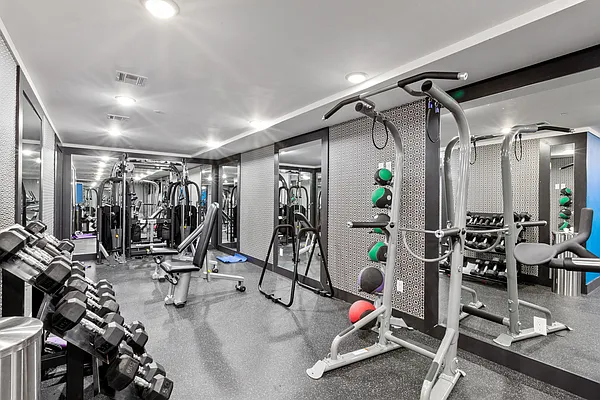 Rented by Douglas Elliman | media 16