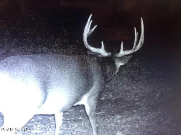 1832 Fort Hill Rd, Grenada, MS 38901