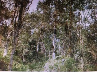 2 Road Ao, Mountain View, HI 96771