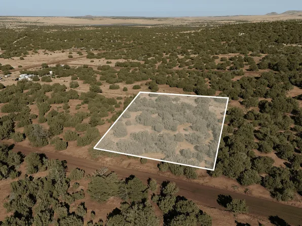 20 County Road 3035, Concho, AZ 85924
