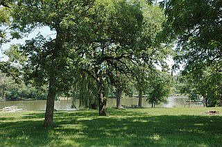 Mature trees on over 1 acre