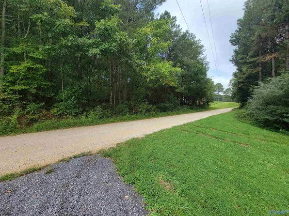 953 County Road 752, Valley Head, AL 35989