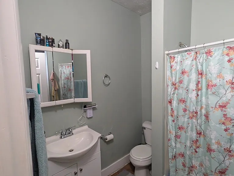 downstairs bathroom