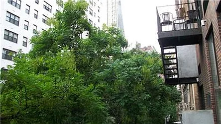 Rented by R New York