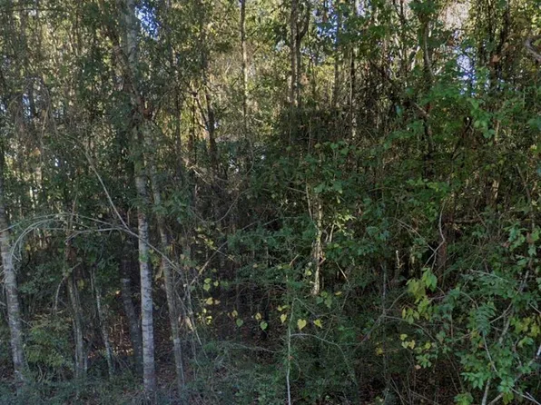 0 Lakeside Cv Lot 142, Carriere, MS 39426