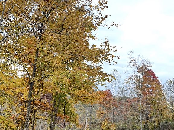 5th image of 426 Rock House Hollow Rd Lot 2