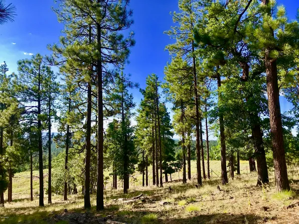 4805 S Snaffle Bit, Flagstaff, AZ 86005