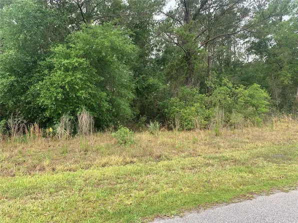 525 Live Oak Loop Lot 10, Crescent City, FL 32112