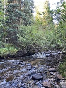 Fall River Road, Idaho Springs, CO, 80452