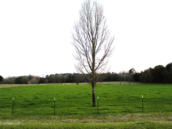 Basin Refuge Rd, Lucedale, MS 39452