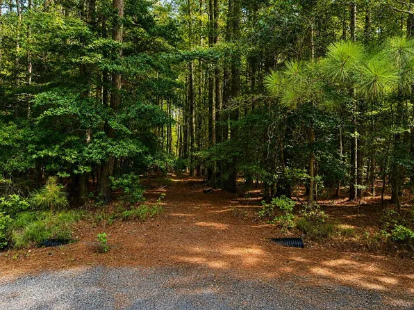 34 Piney Ln #34, Painter, VA 23420