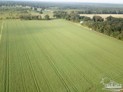 4 Acres Hwy #87, Milton, FL, 32570