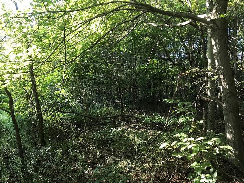 2nd image of 000 Dutch Ridge Rd