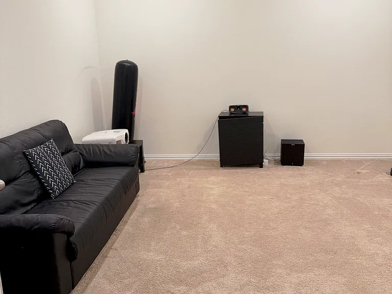 Media room / flex entertainment space