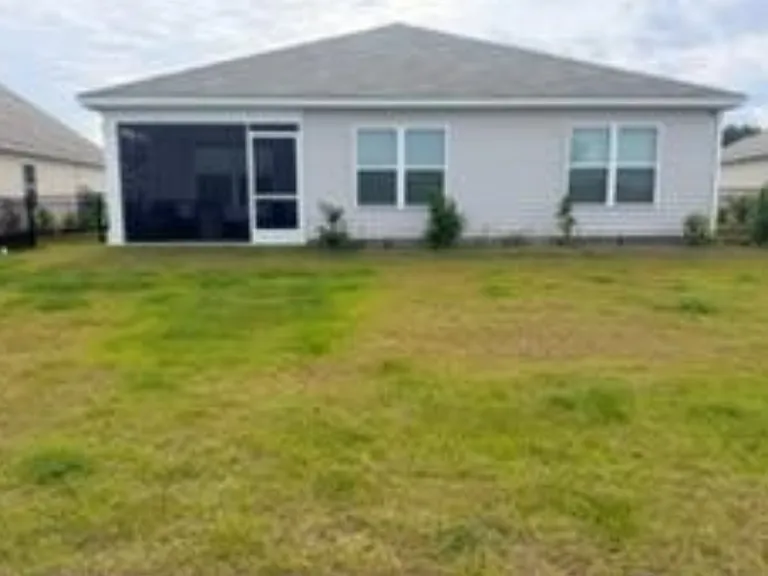 Huge fenced-in backyard!