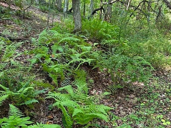 2nd image of TBD Grassy Creek Road