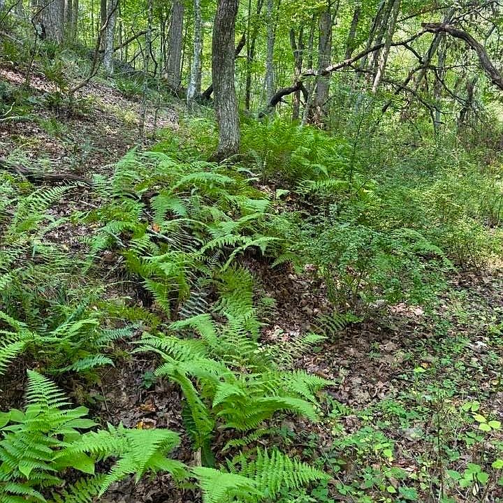 1st image of TBD Grassy Creek Road