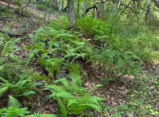 TBD Grassy Creek Road, Grassy Creek, NC 28631