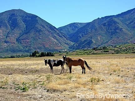Plenty of acreage for the horses