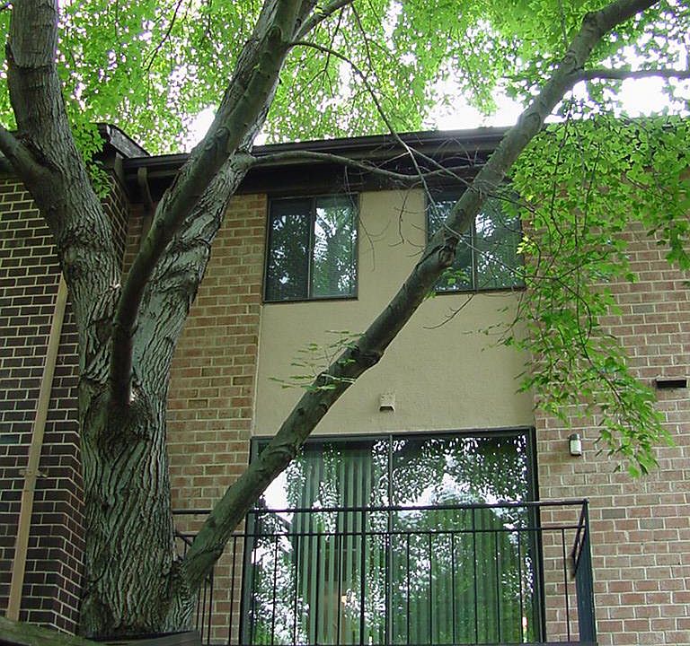 Rear of house with balcony off of living room