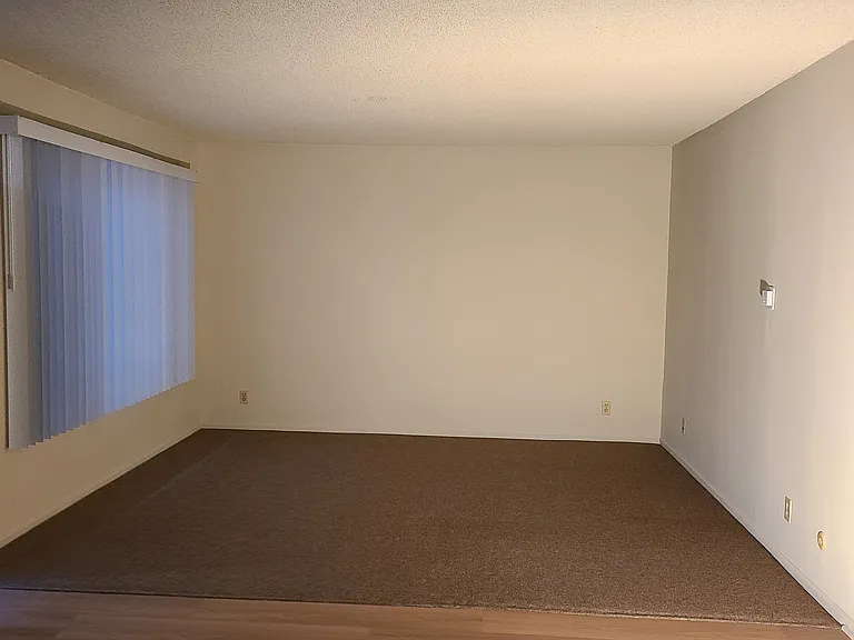 440 Solano Ave #2 — Photo 6