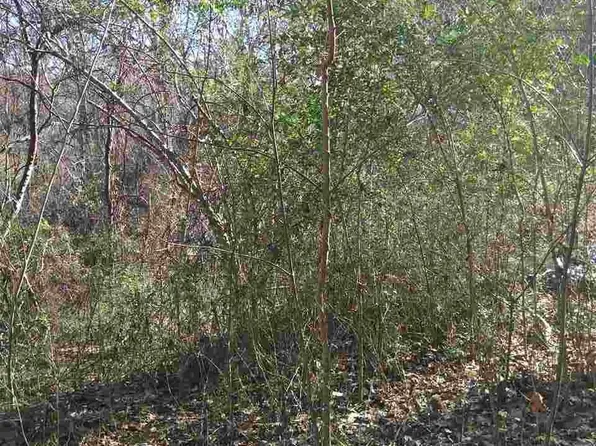 1913 Mountain View Ct, Sevierville, TN 37876