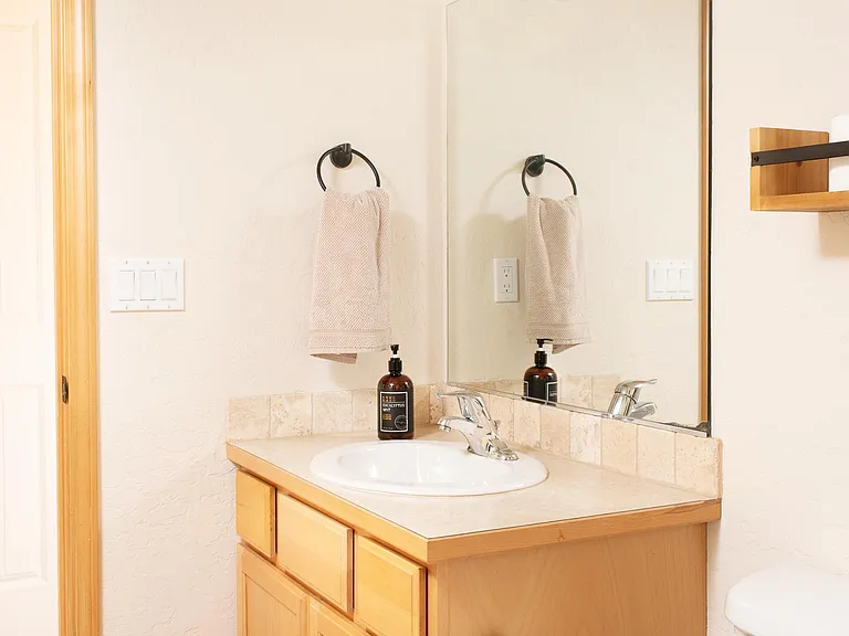 Downstairs Bathroom - Large