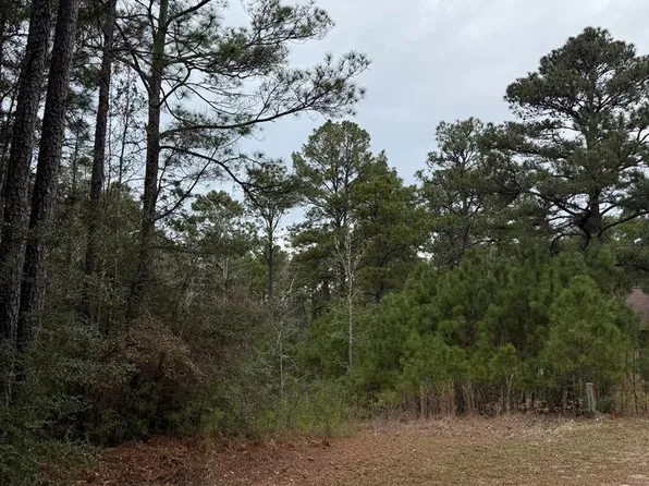 10 Pine Hollow Cv, Brookeland, TX 75931