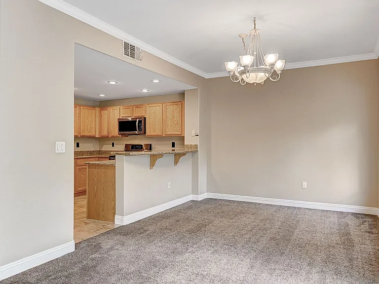 821 Titan Peak Pl #204 — Photo 9