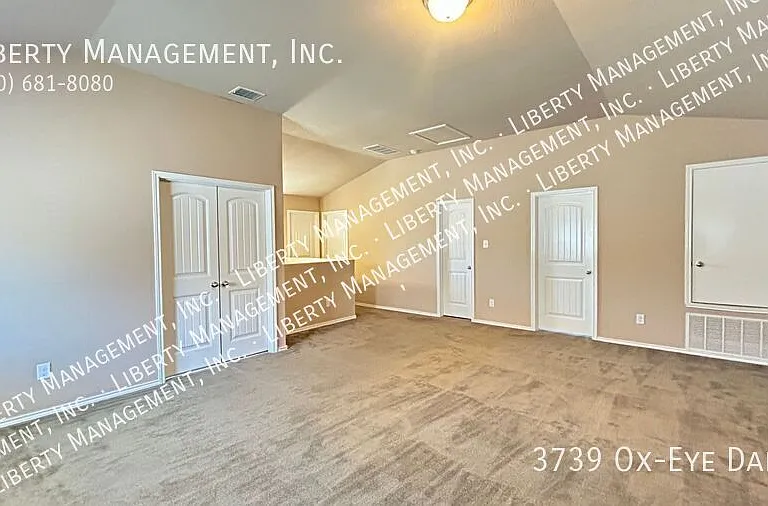 3739 Ox Eye Daisy — Photo 22
