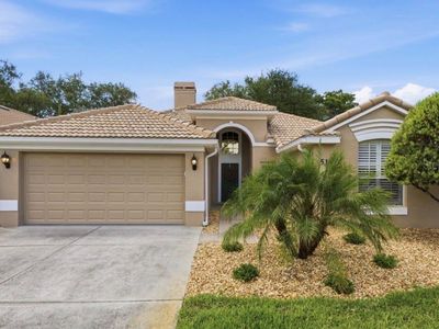 5163 Pinnacle Dr, Oldsmar, FL, 34677