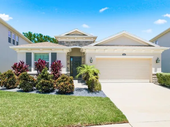 8036 Praise Dr, Tampa, FL 33625